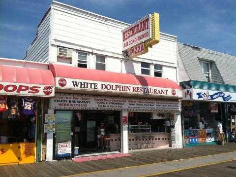 White Dolphin